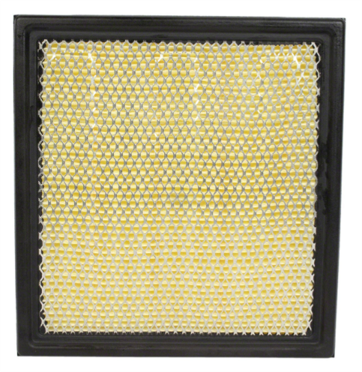 Air Filter, 2009+ Ford F-150 3.5L/5.0L Petrol